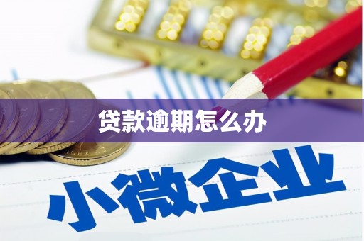 六合贷款逾期怎么办