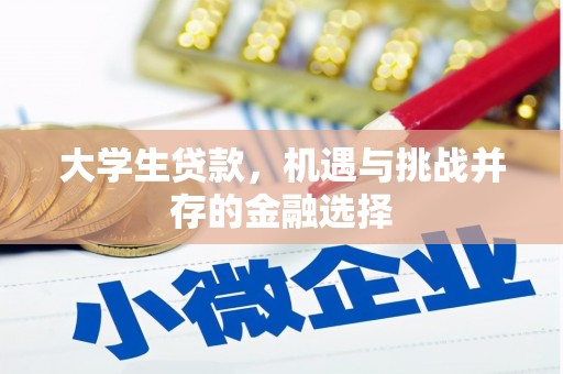 泊头大学生贷款，机遇与挑战并存的金融选择