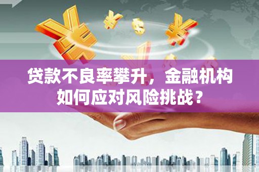 新和贷款不良率攀升，金融机构如何应对风险挑战？