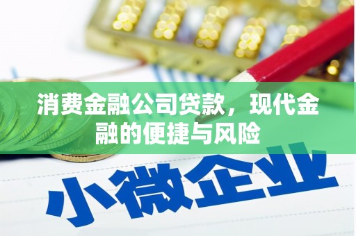 东兴消费金融公司贷款，现代金融的便捷与风险
