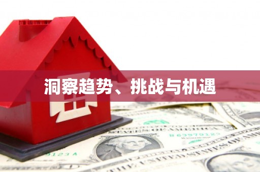 金安洞察趋势、挑战与机遇