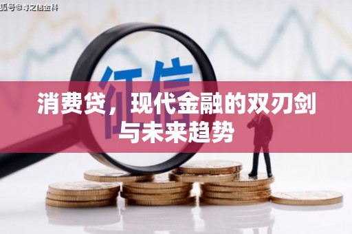 永嘉消费贷，现代金融的双刃剑与未来趋势