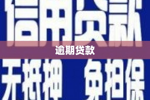 王益逾期贷款