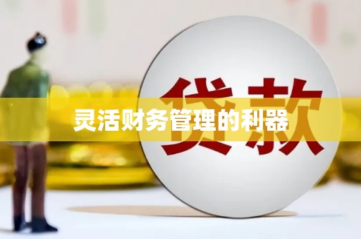 温州灵活财务管理的利器