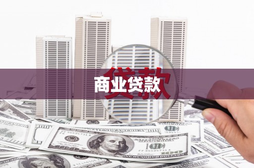 杂多商业贷款