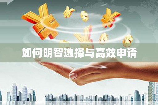 乐东如何明智选择与高效申请