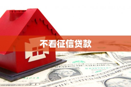 忻府不看征信贷款