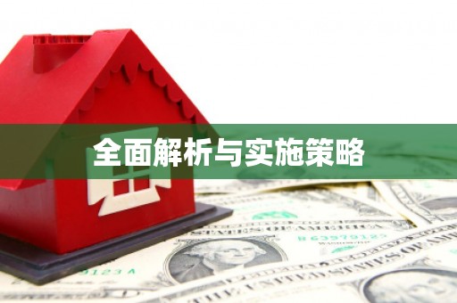 雷州全面解析与实施策略