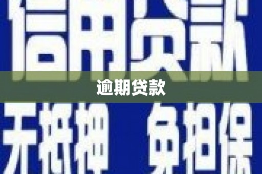茂县逾期贷款