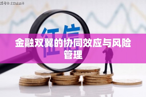 南陵金融双翼的协同效应与风险管理